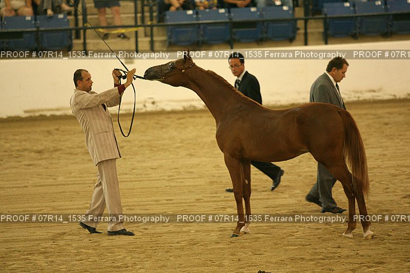 Proof 07R14_1535