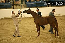 07R14_1535 proof