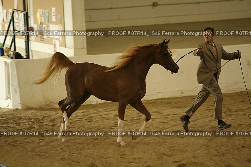 Proof 07R14_1549