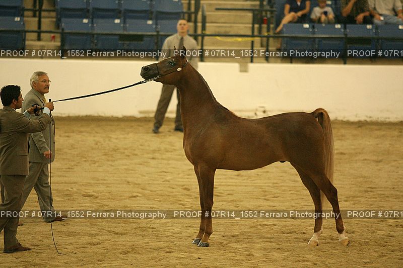 Proof 07R14_1552