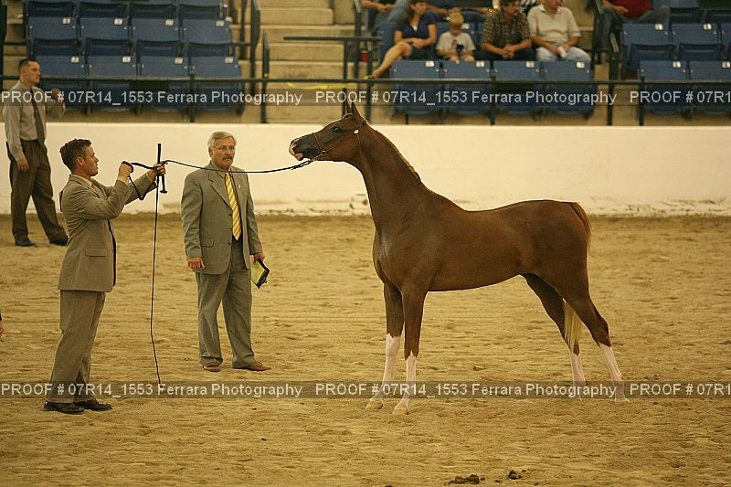 Proof 07R14_1553