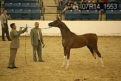 07R14_1553 proof