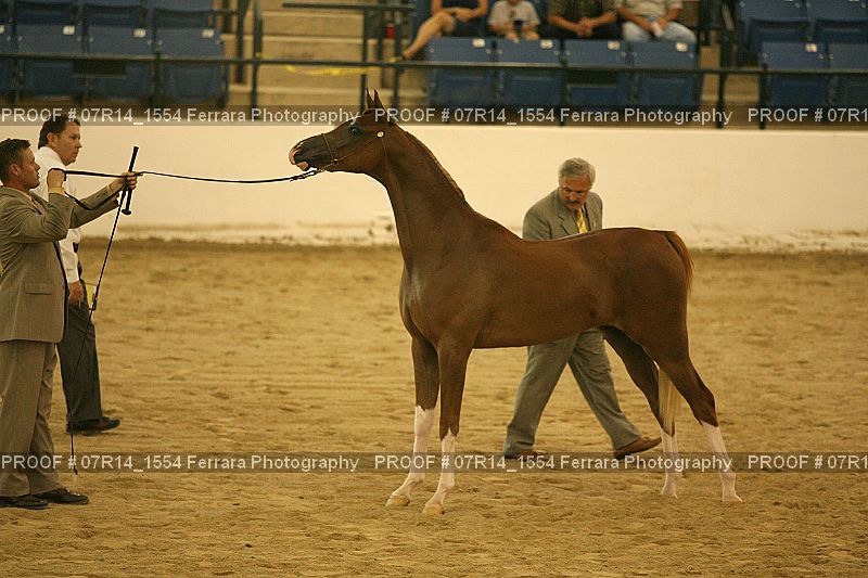 Proof 07R14_1554