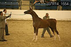 07R14_1554 proof