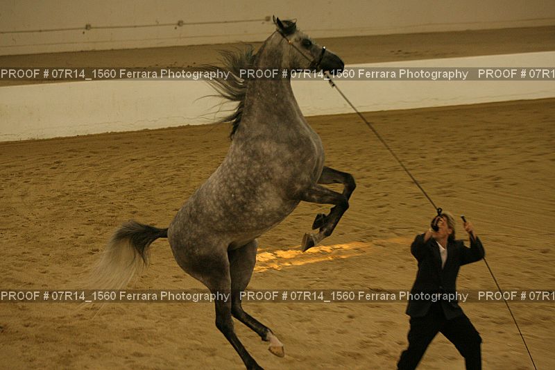 Proof 07R14_1560