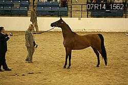 07R14_1562 proof