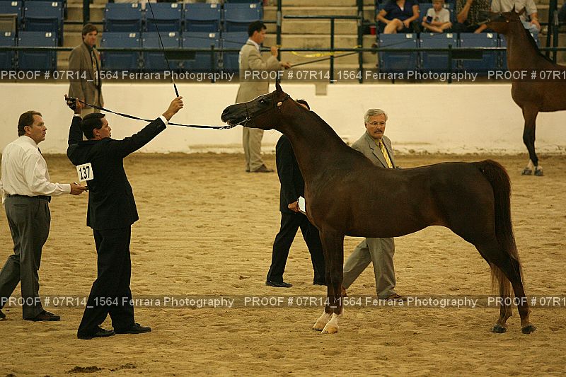 Proof 07R14_1564