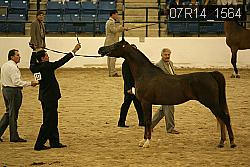 07R14_1564 proof