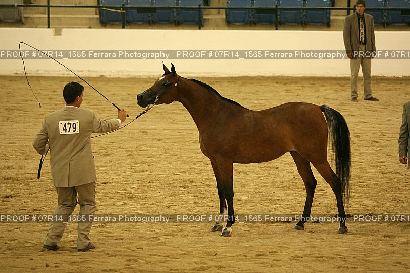Proof 07R14_1565
