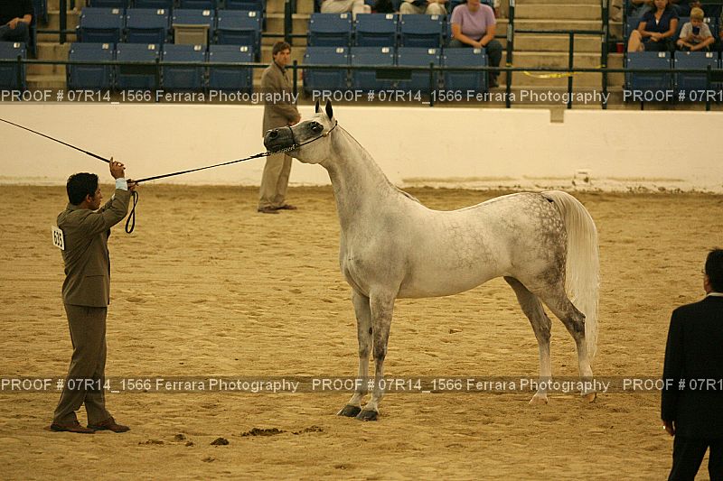 Proof 07R14_1566