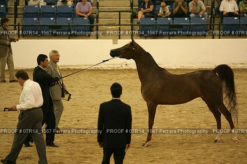 Proof 07R14_1567