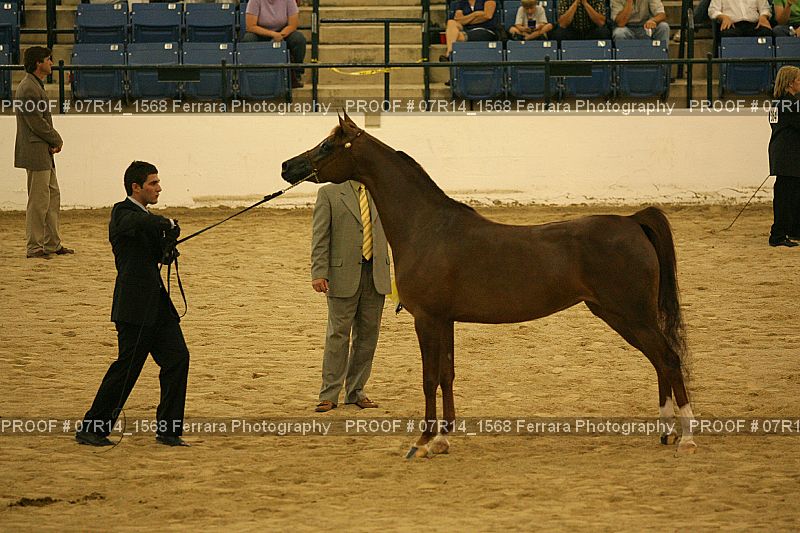 Proof 07R14_1568