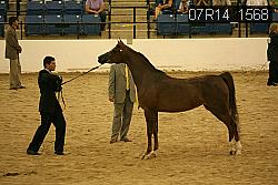 07R14_1568 proof