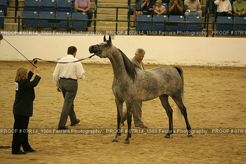 Proof 07R14_1569