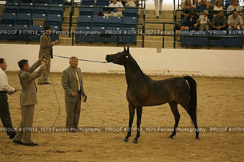 Proof 07R14_1573