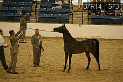 07R14_1573 proof