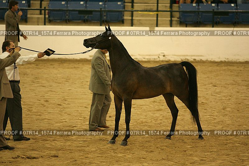 Proof 07R14_1574