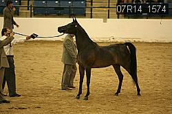 07R14_1574 proof