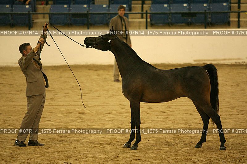 Proof 07R14_1575
