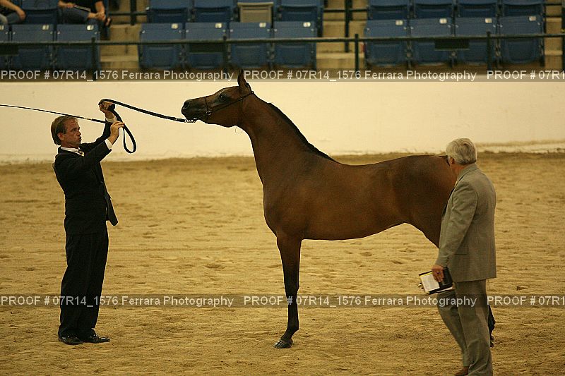 Proof 07R14_1576