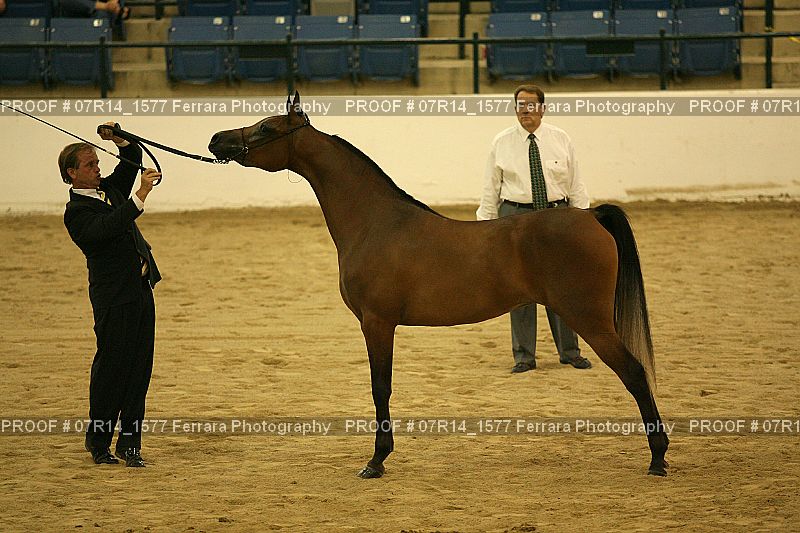 Proof 07R14_1577