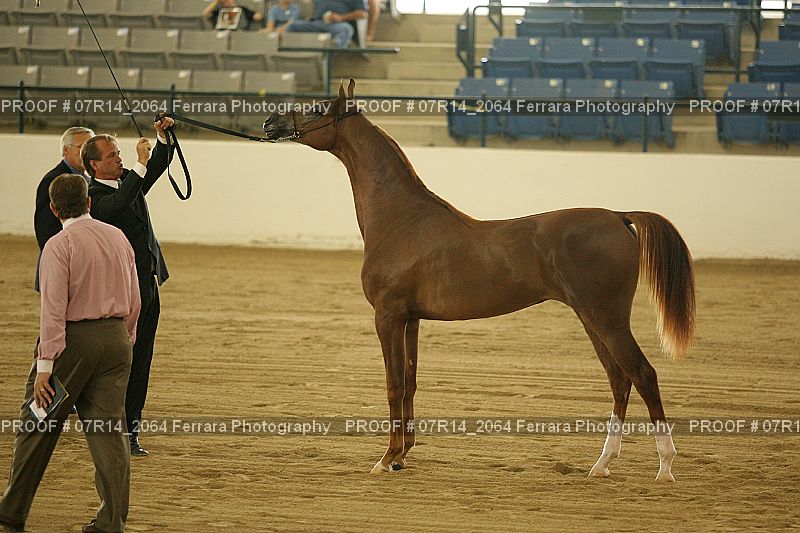 Proof 07R14_2064