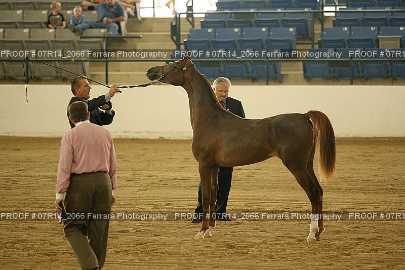 Proof 07R14_2066