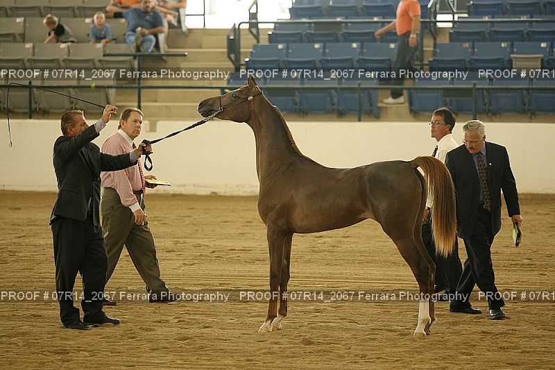 Proof 07R14_2067