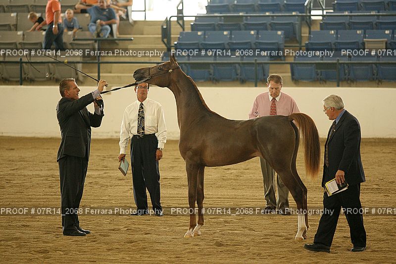 Proof 07R14_2068