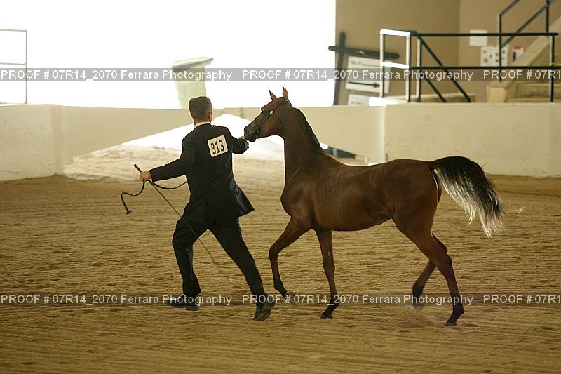 Proof 07R14_2070