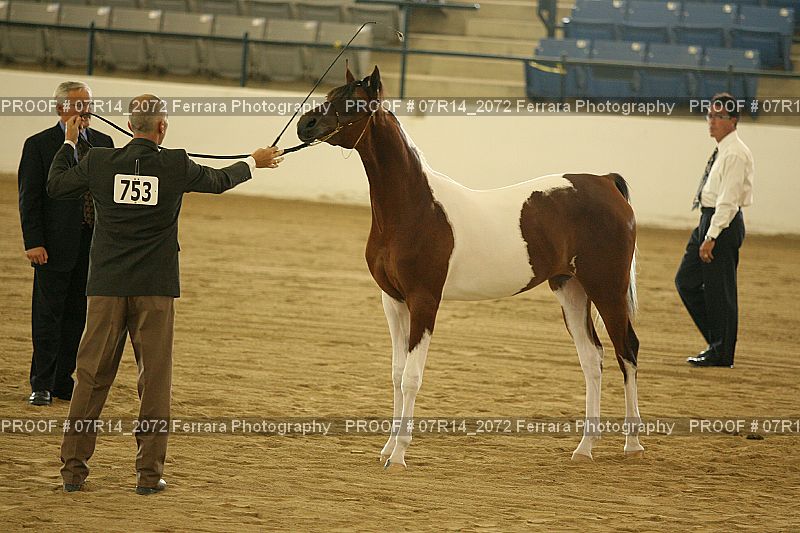 Proof 07R14_2072