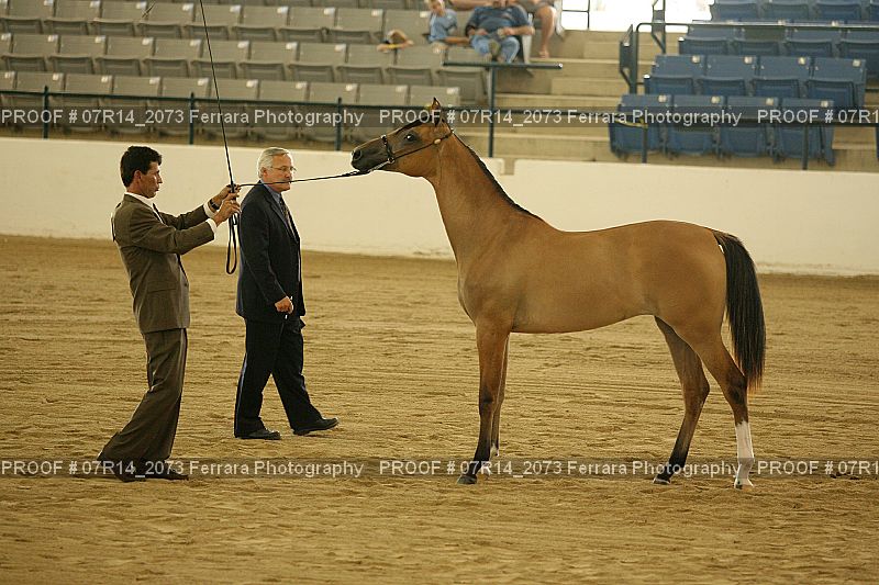 Proof 07R14_2073
