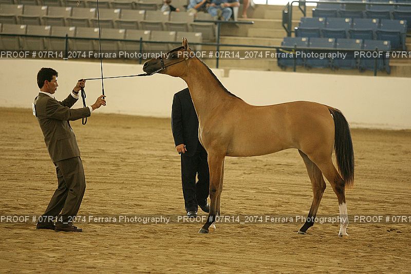 Proof 07R14_2074