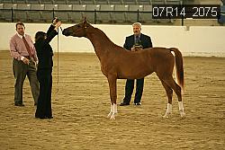 07R14_2075 proof