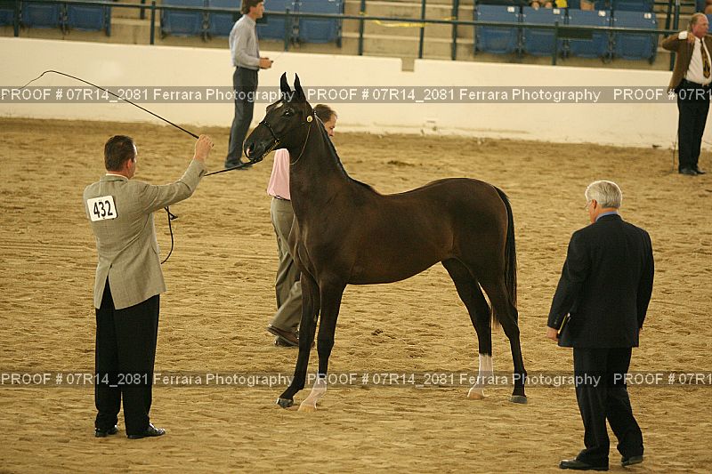 Proof 07R14_2081