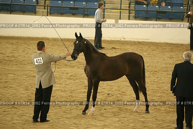 Proof 07R14_2082
