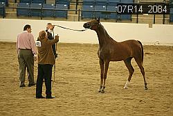 07R14_2084 proof