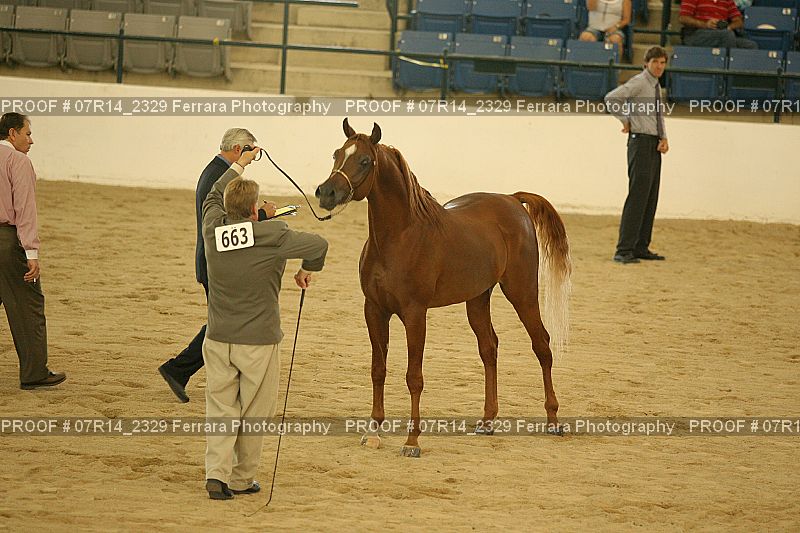 Proof 07R14_2329