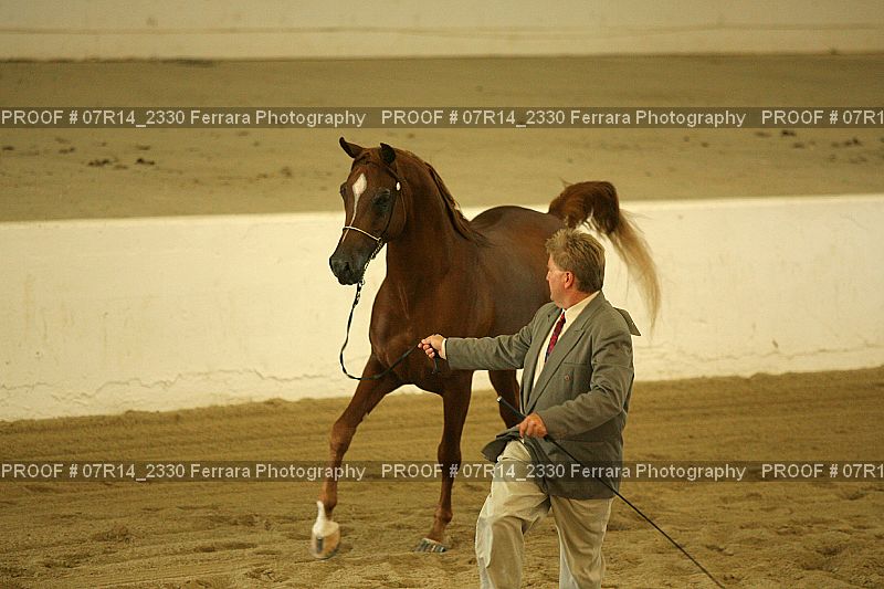 Proof 07R14_2330
