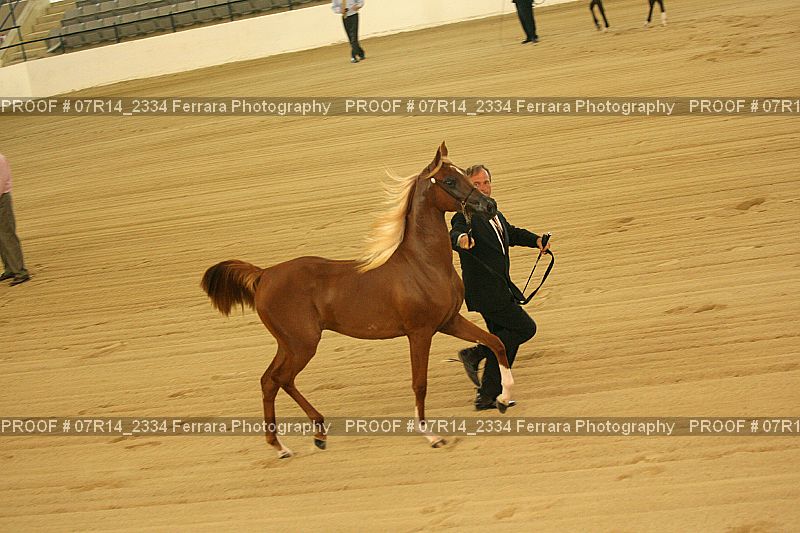 Proof 07R14_2334