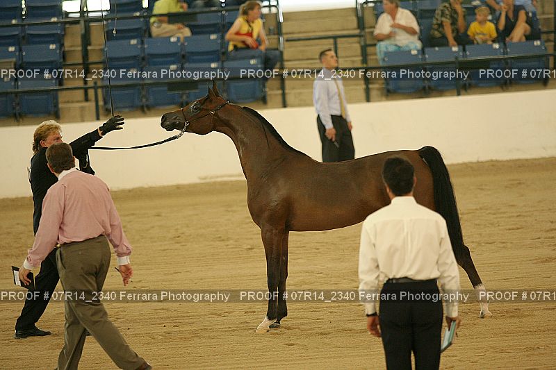 Proof 07R14_2340