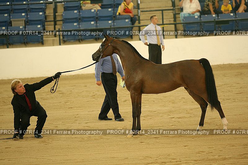 Proof 07R14_2341