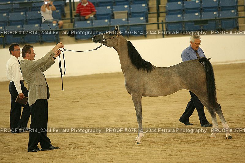 Proof 07R14_2344