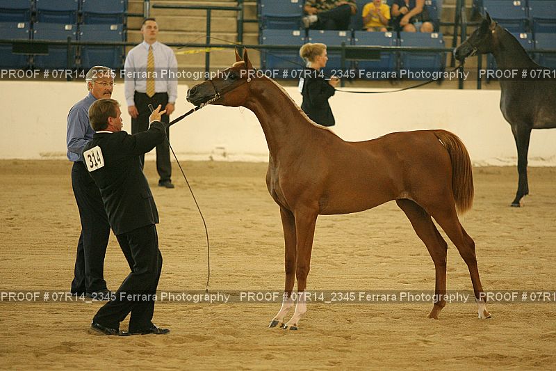 Proof 07R14_2345