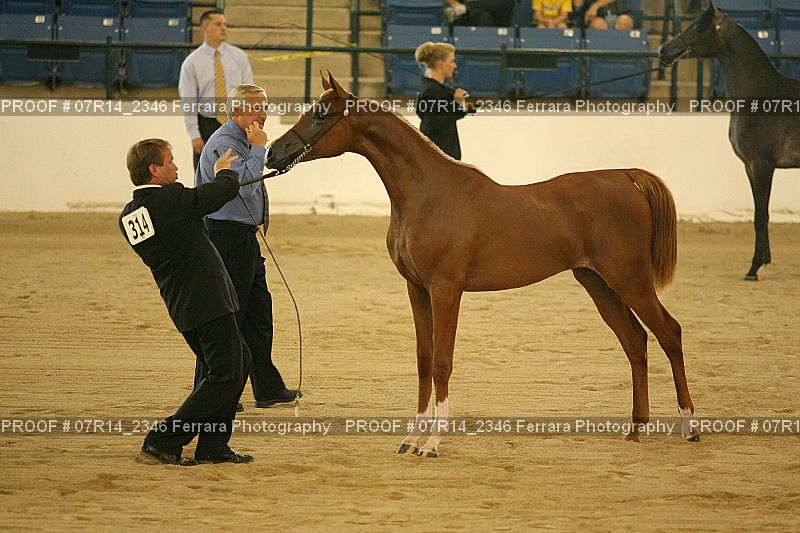 Proof 07R14_2346
