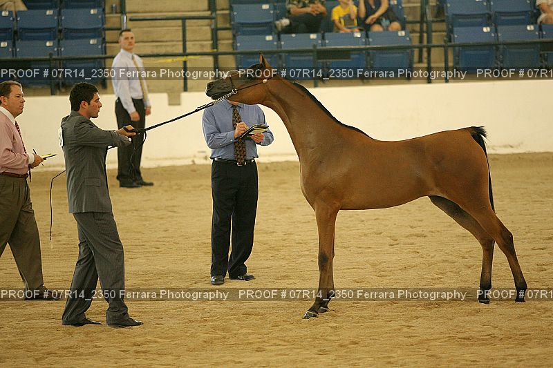Proof 07R14_2350