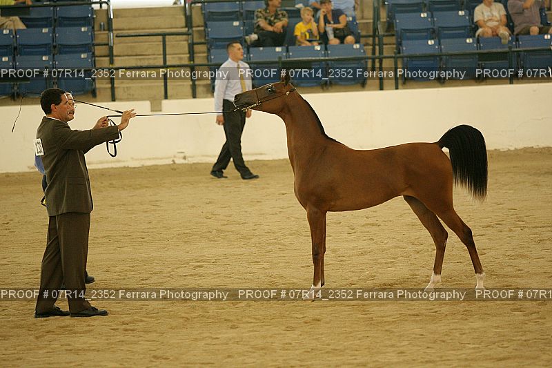 Proof 07R14_2352