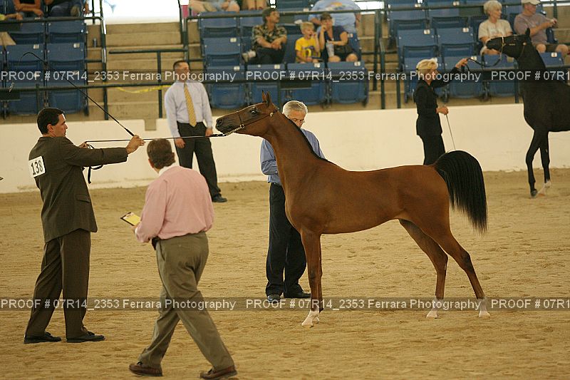 Proof 07R14_2353