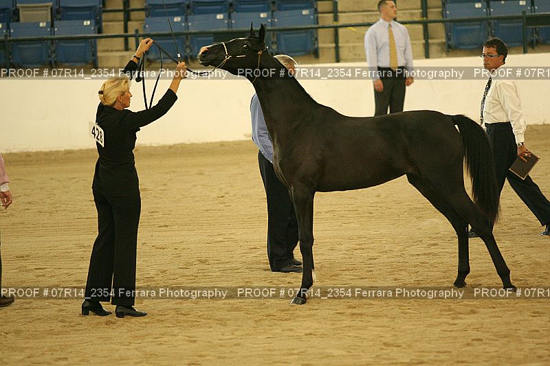 Proof 07R14_2354