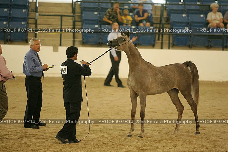 Proof 07R14_2355